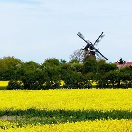 Ferienwohnung Fehmarn Burgtiefe Sudstrand Hygge *